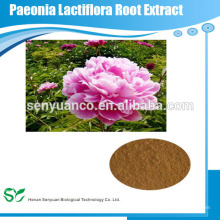 Extrait de racine pure extrait de lactiflora de paeonia